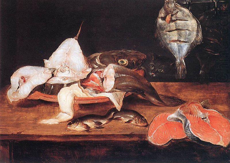 Alexander Adriaenssen Still-Life with Fish china oil painting image